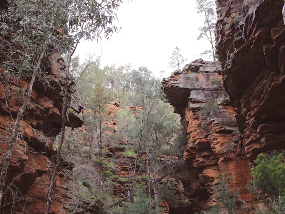 Alligator Gorge