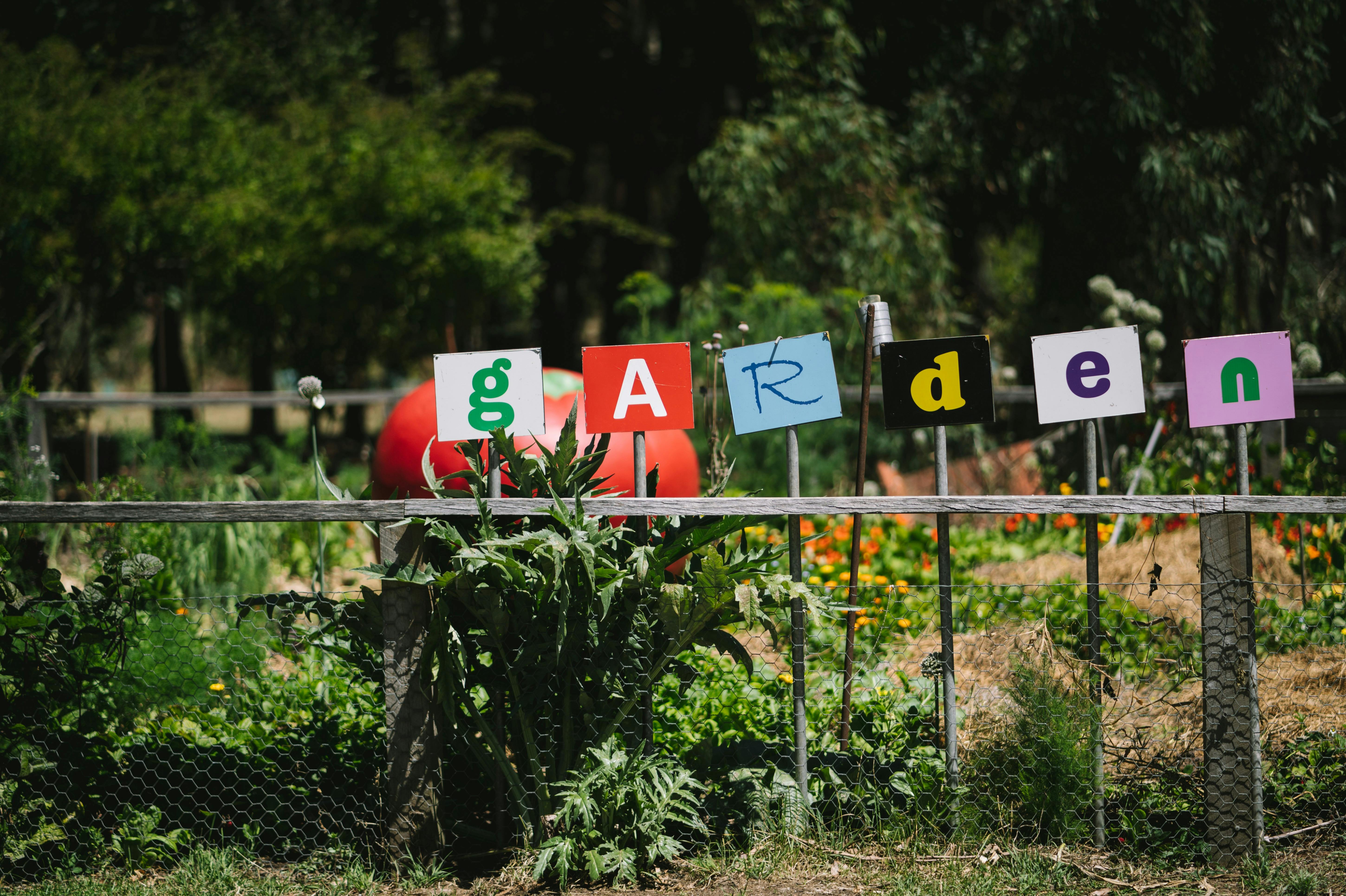 Summer holidays at Maze House