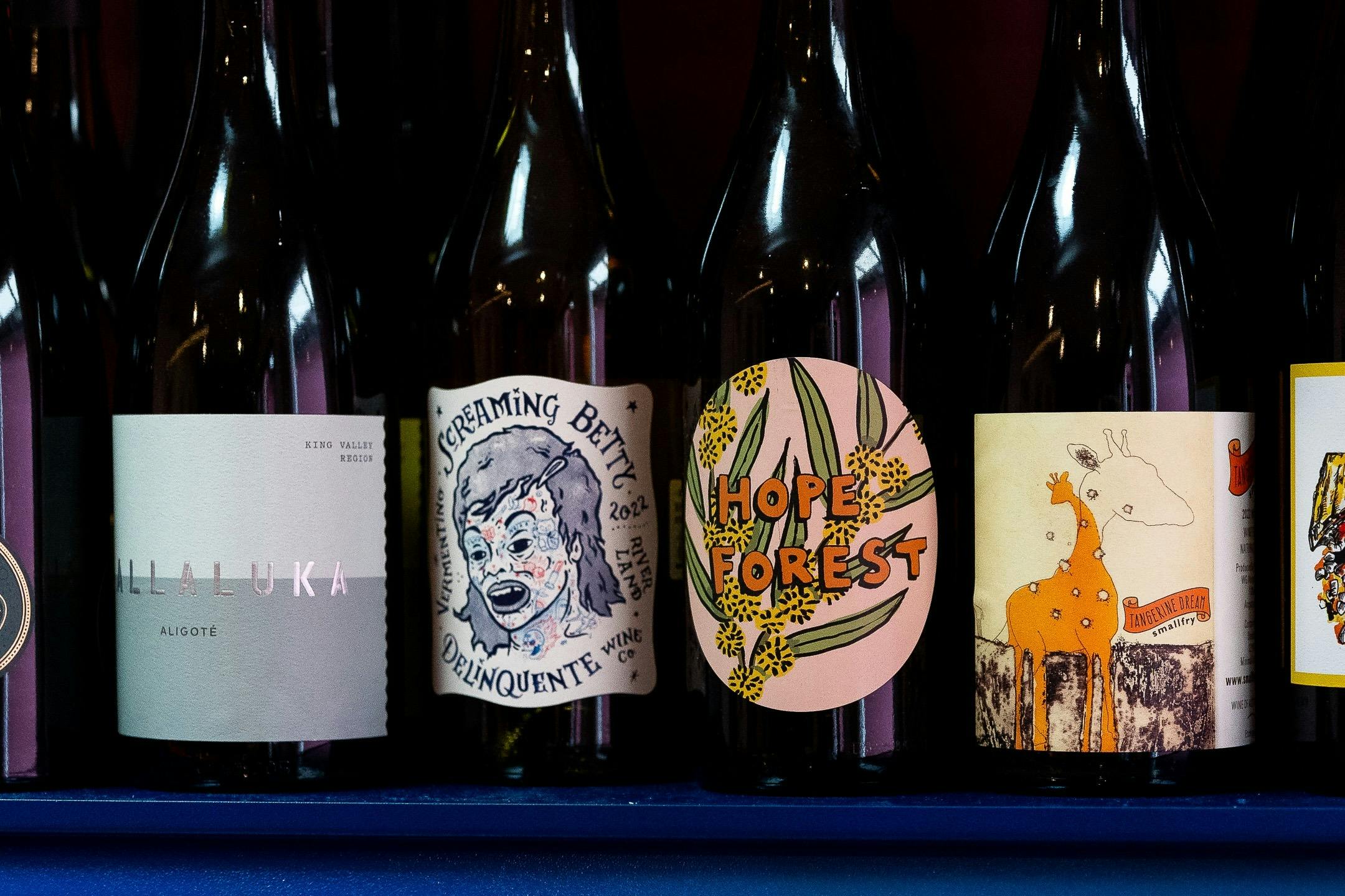 Wines inside of Pam's Bottles & Cups