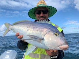 Queen Snapper have fantastic eating qualities
