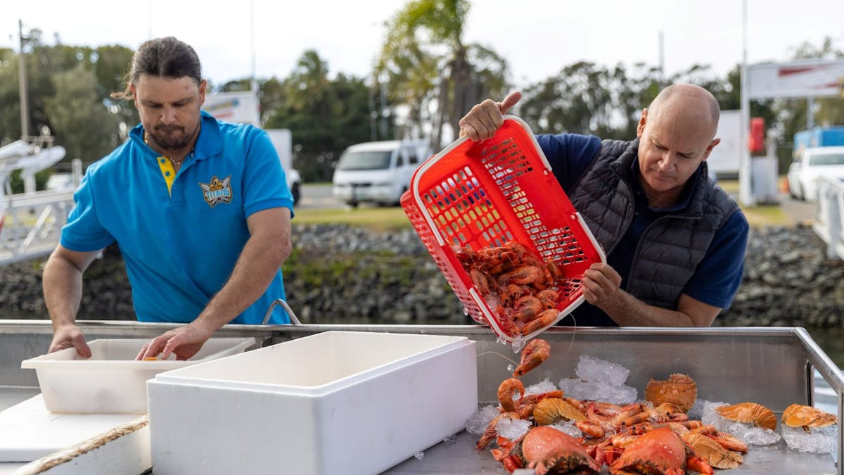 seafood