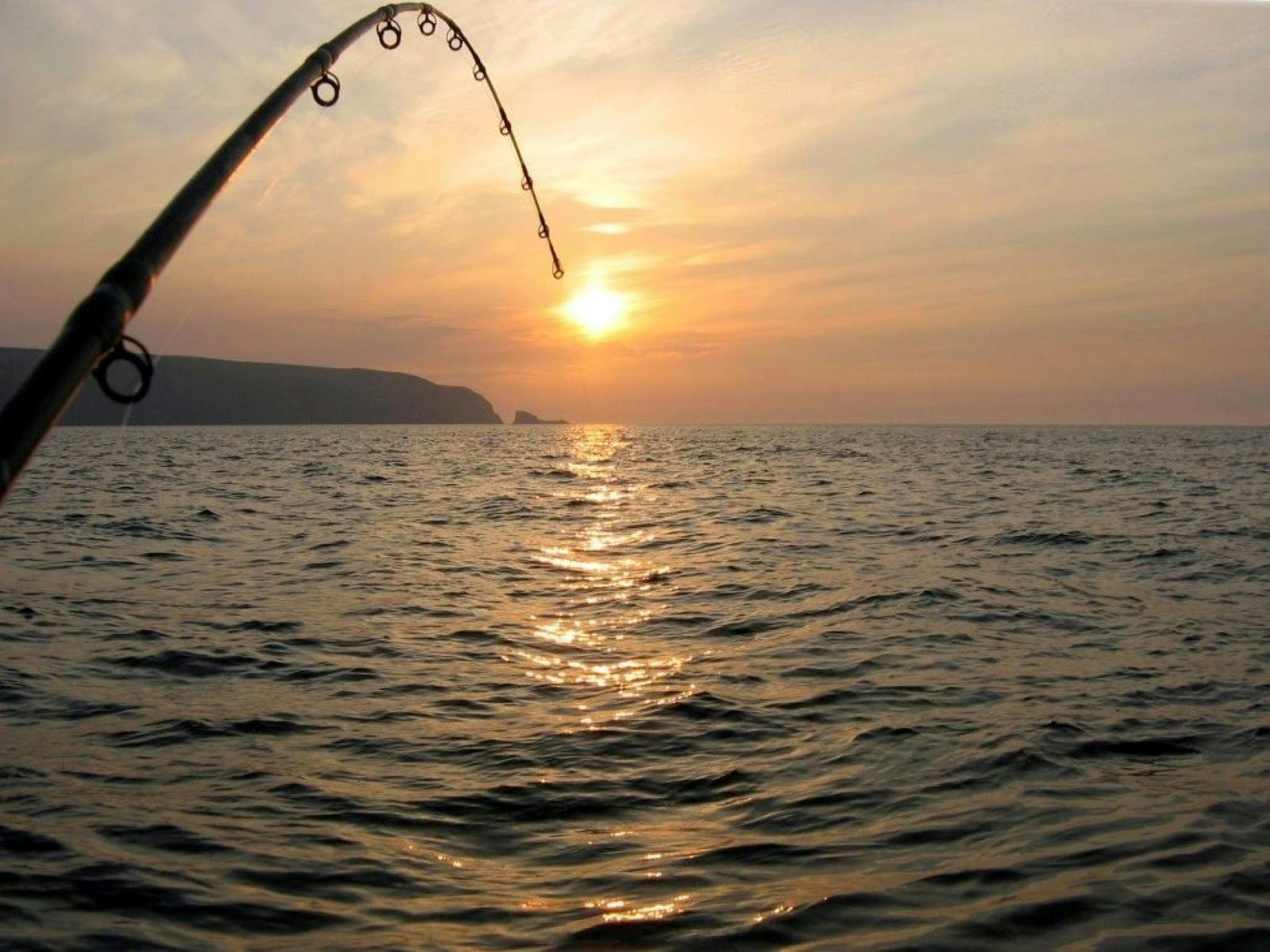 Orford Fishing