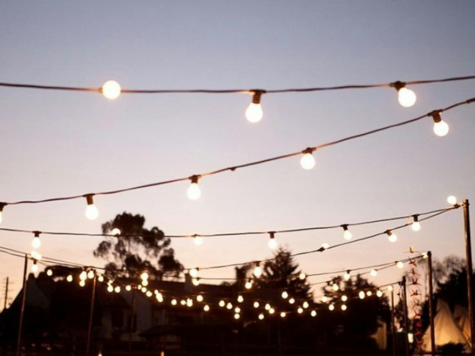 Harvest with Hillside Harvest and Orange Mountain Estate Wines