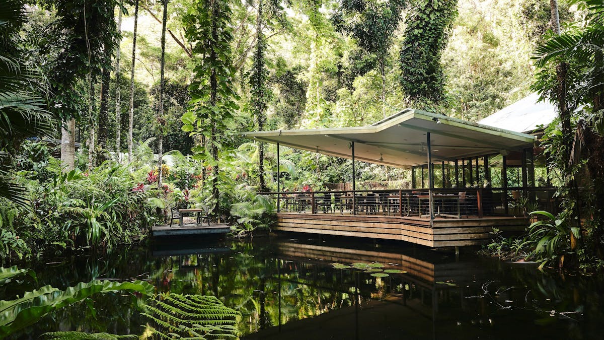 Daintree Ecolodge Restaurant