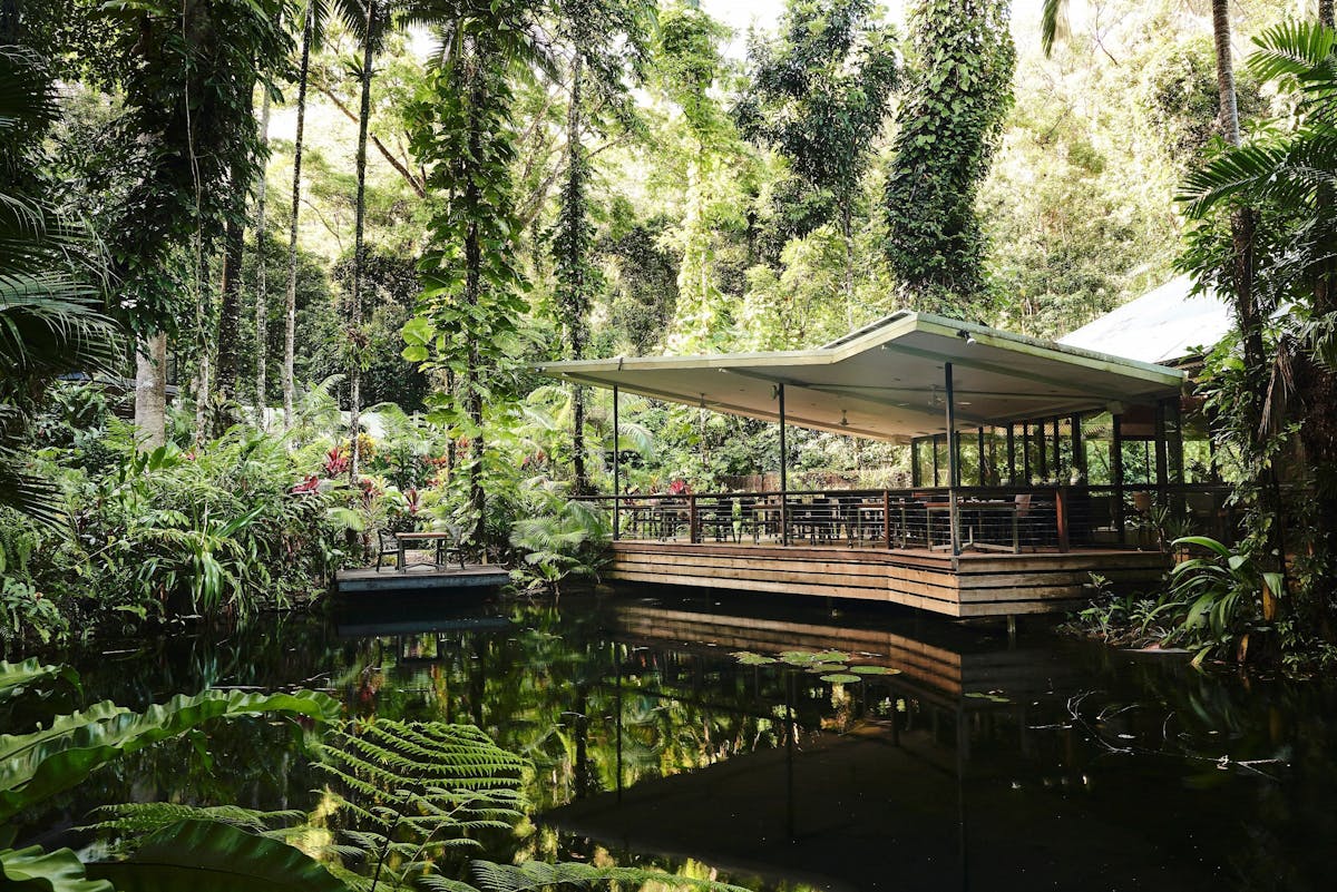 Daintree Ecolodge Restaurant