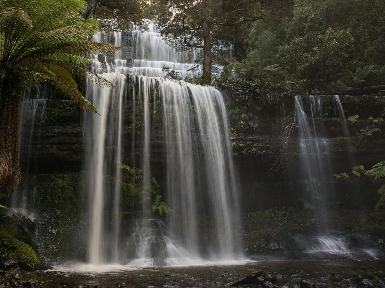 Russell Falls, Mt Field National Park with Shutterbug Walkabouts (photography tours)