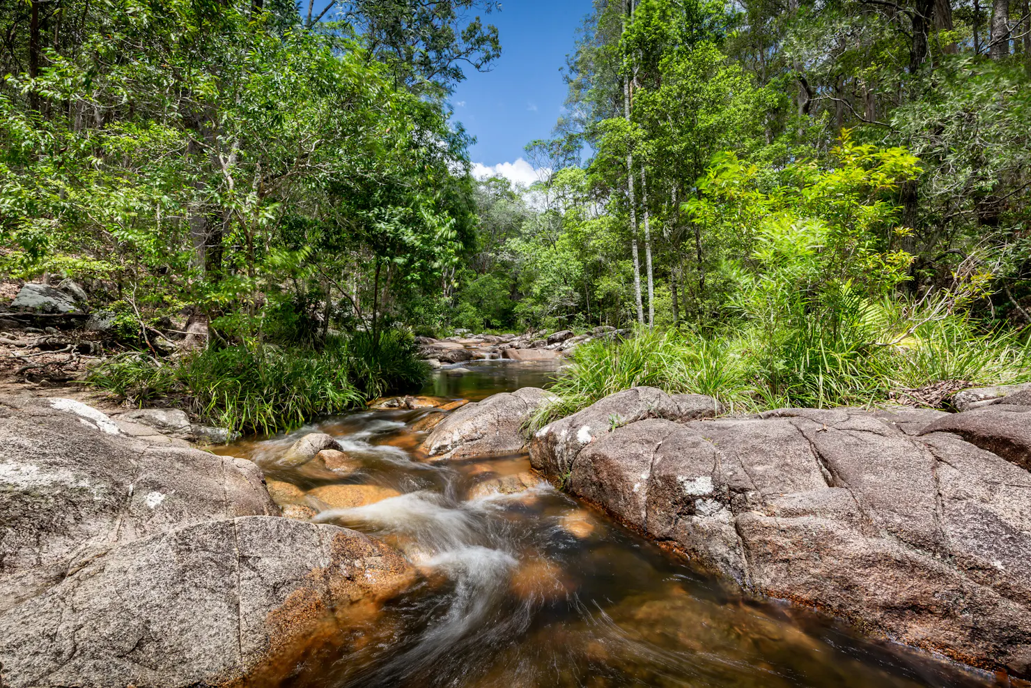 Mothar Mountain Rockpools