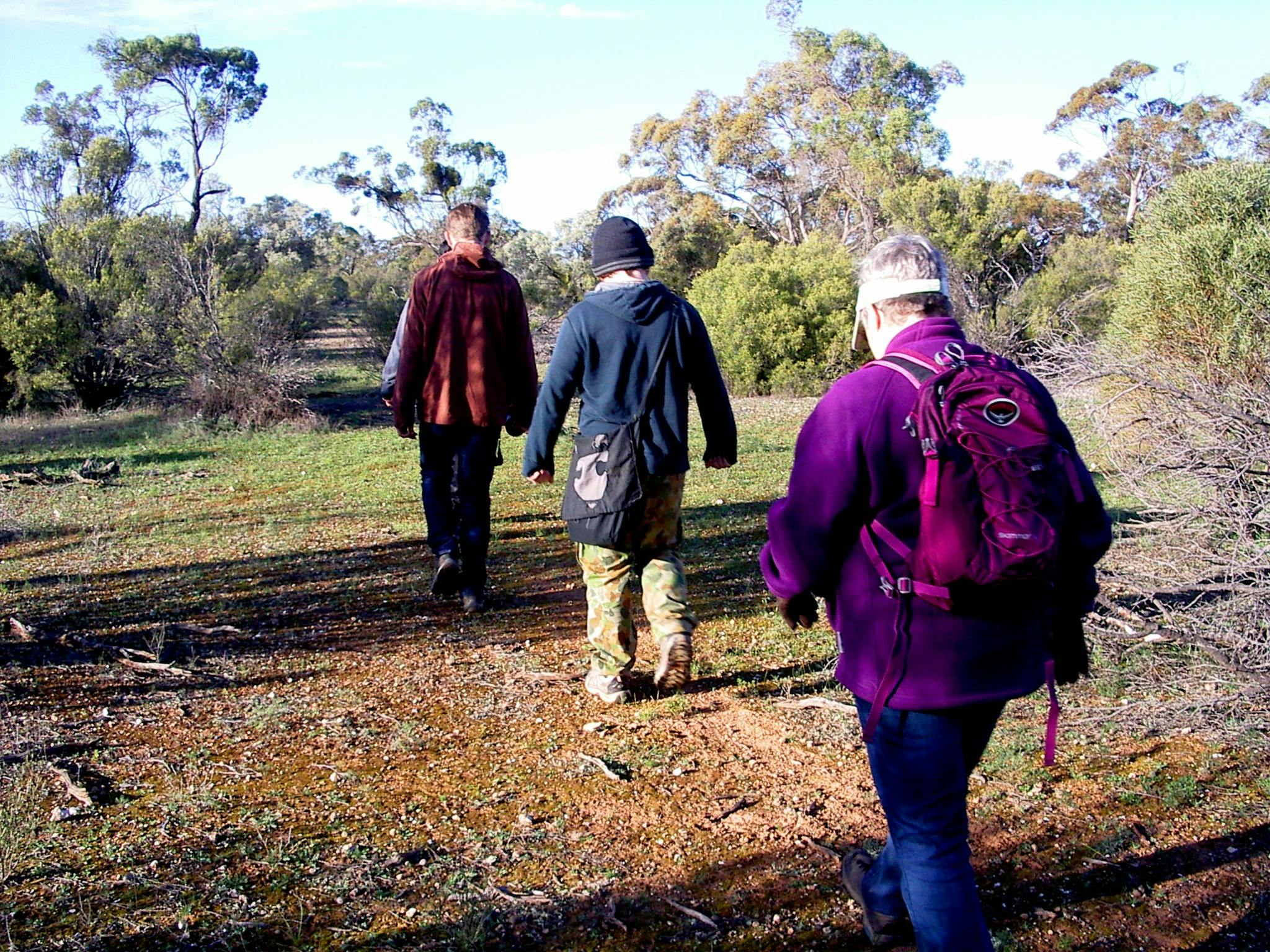 2 day Wombat Tracking Tour