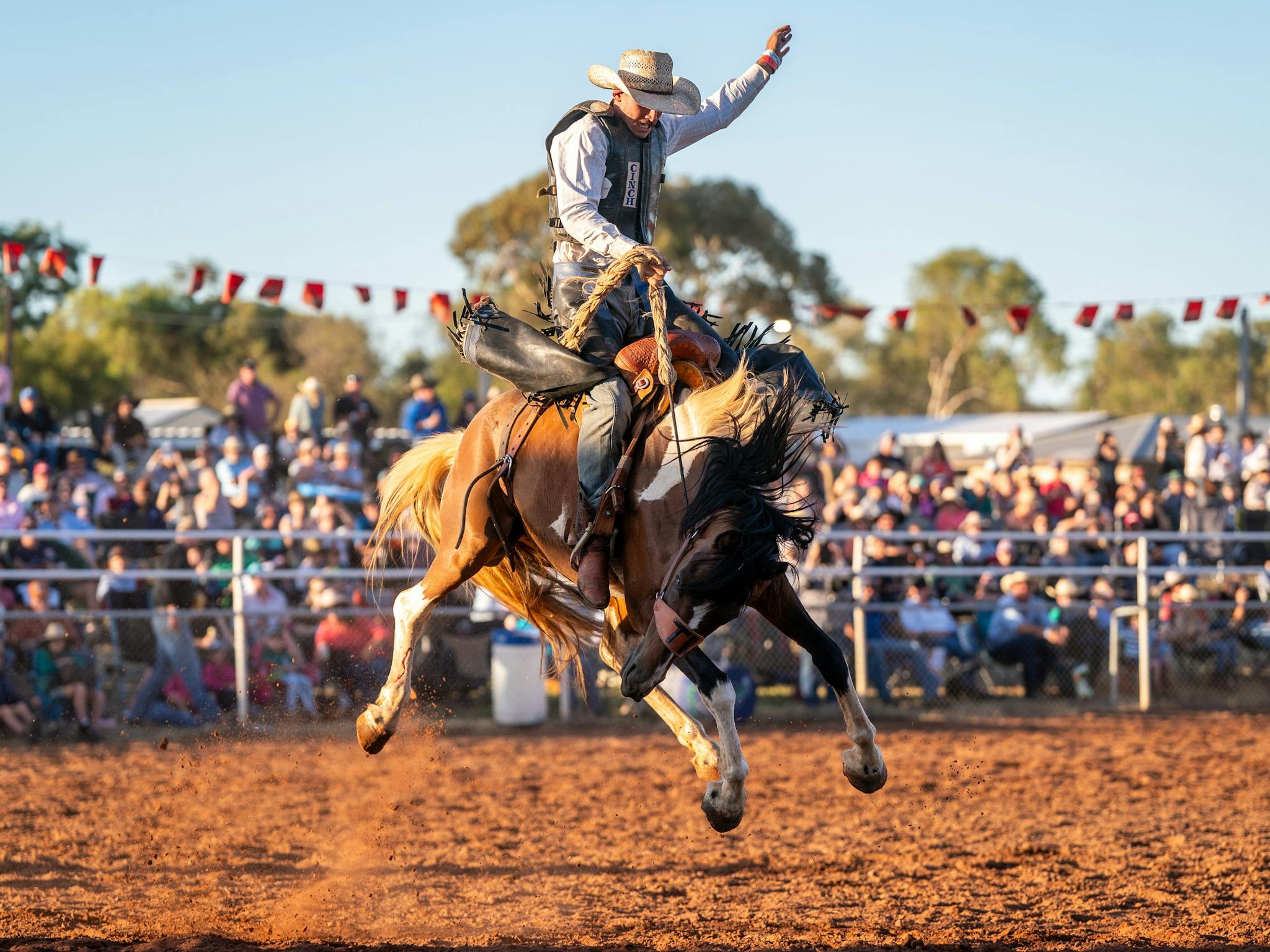 Wilmington Night Rodeo in Wilmington - The Fold: Your Guide to ...
