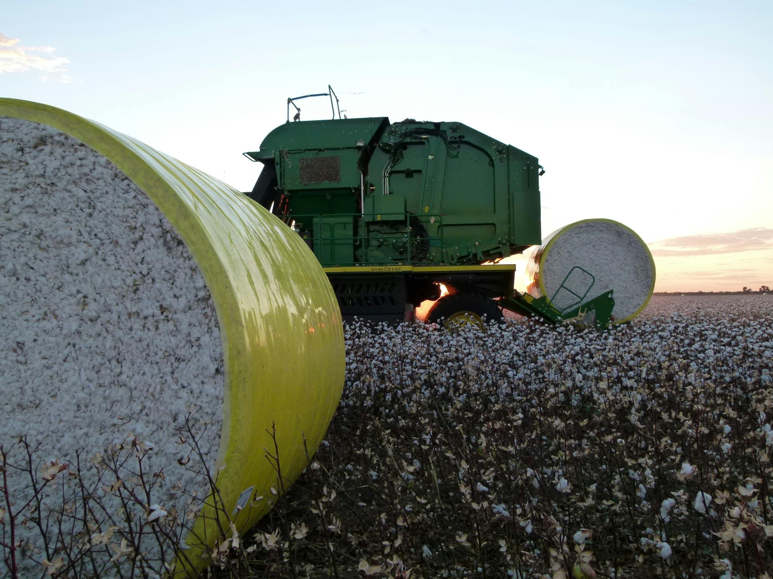 Cotton Picker
