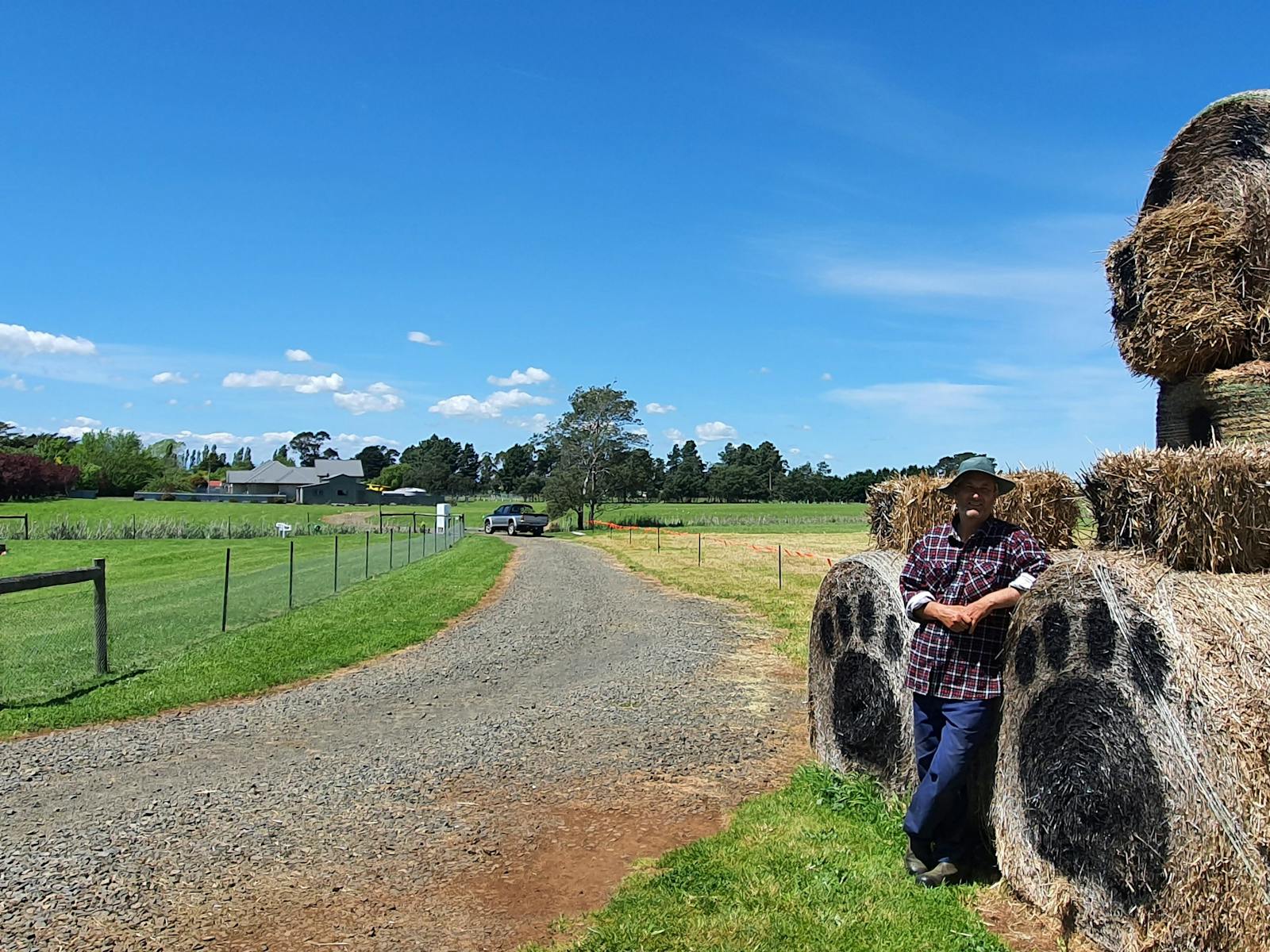 Big Ted, the hay bale bear welcomes visitors to Hagley RV Farm Stay