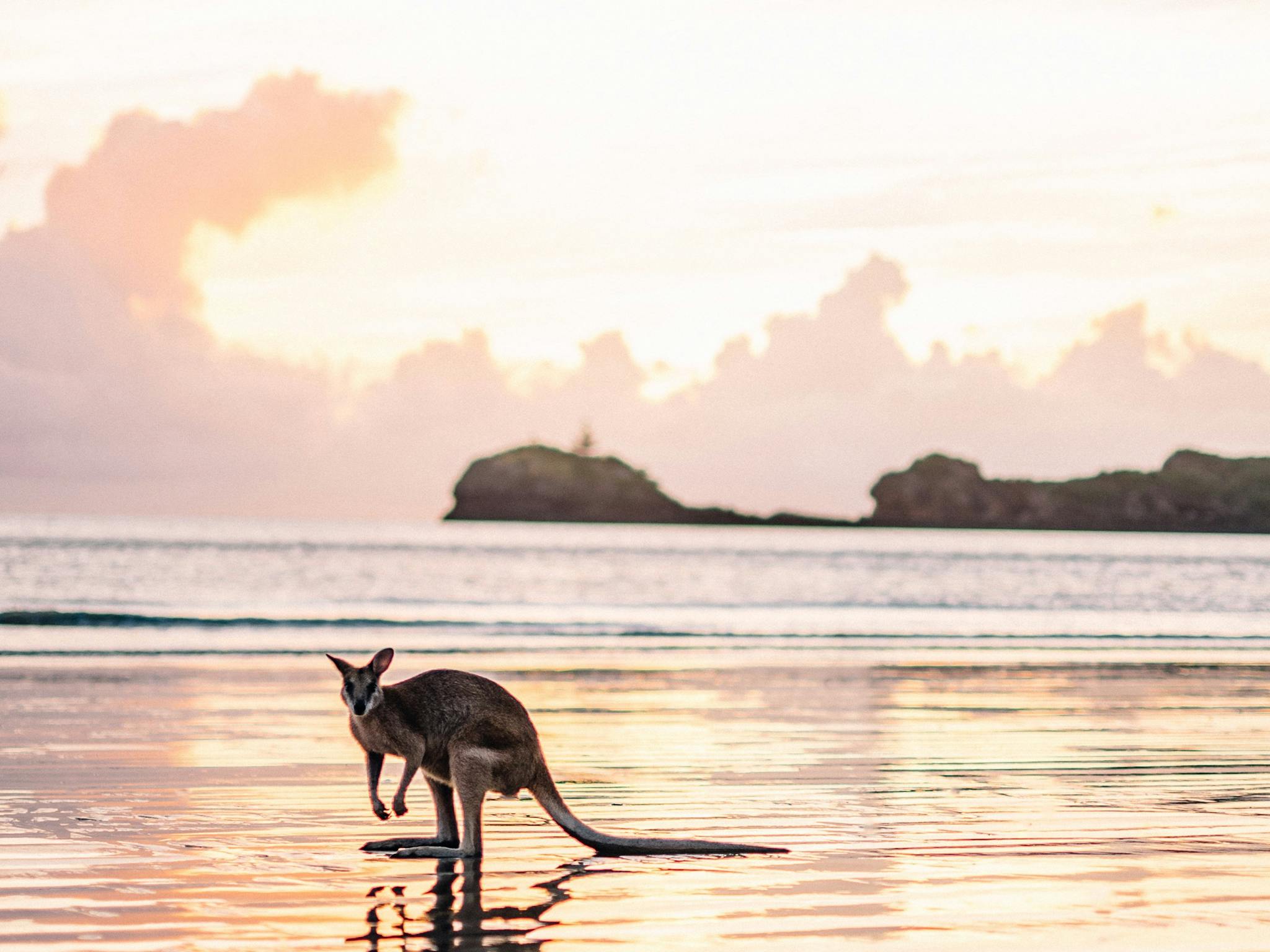 Cape Hillsborough National Park