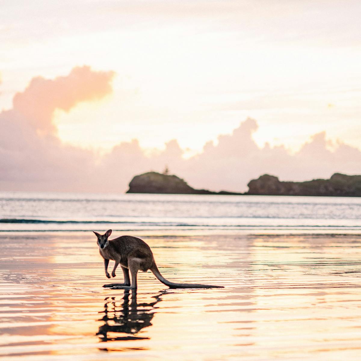 Cape Hillsborough National Park