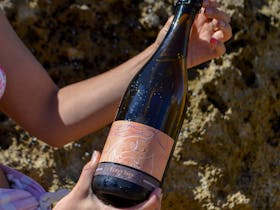 Cuvee-Co Wines - Fizzy Issy