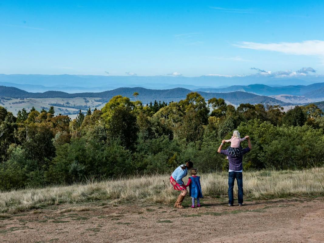 As far as the eye can see - Lawrence Lookout