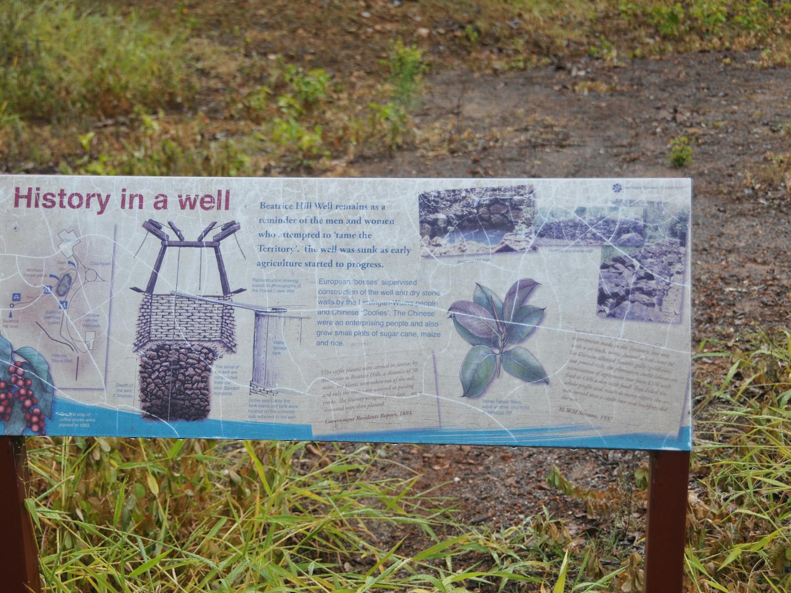 Beatrice Hill Well and Stone Fences