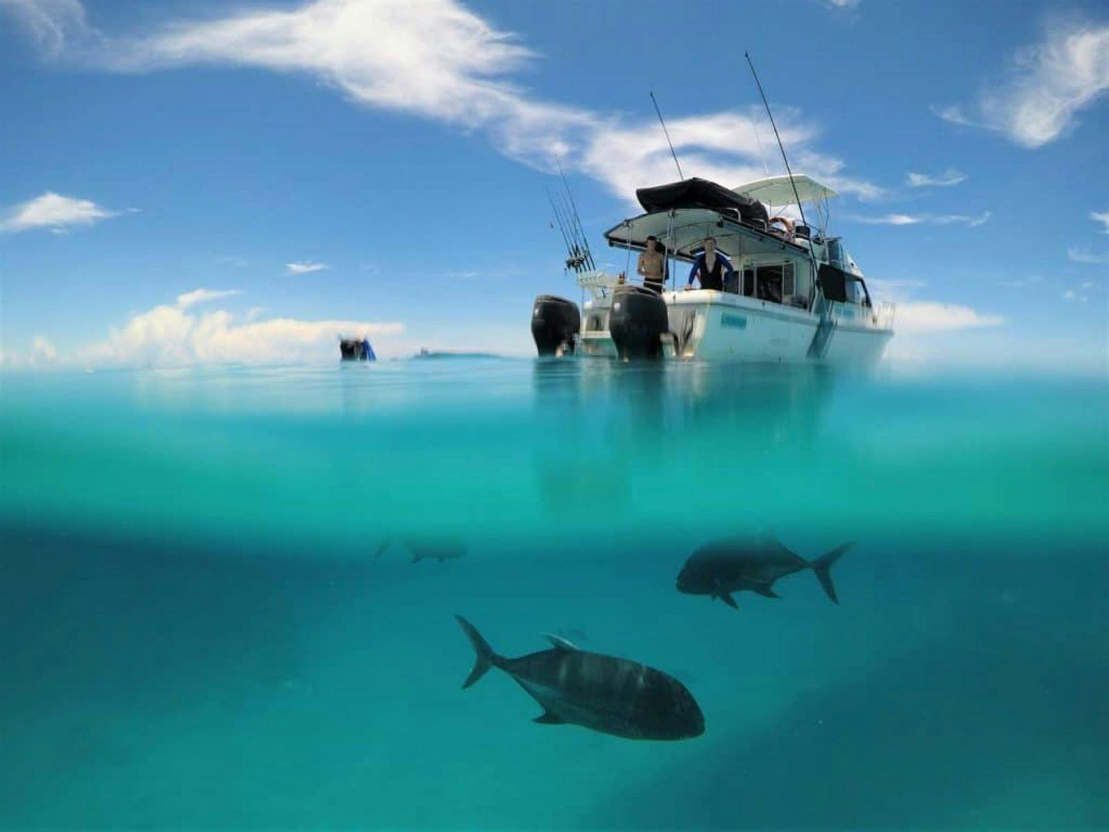 Reef Runner Charters