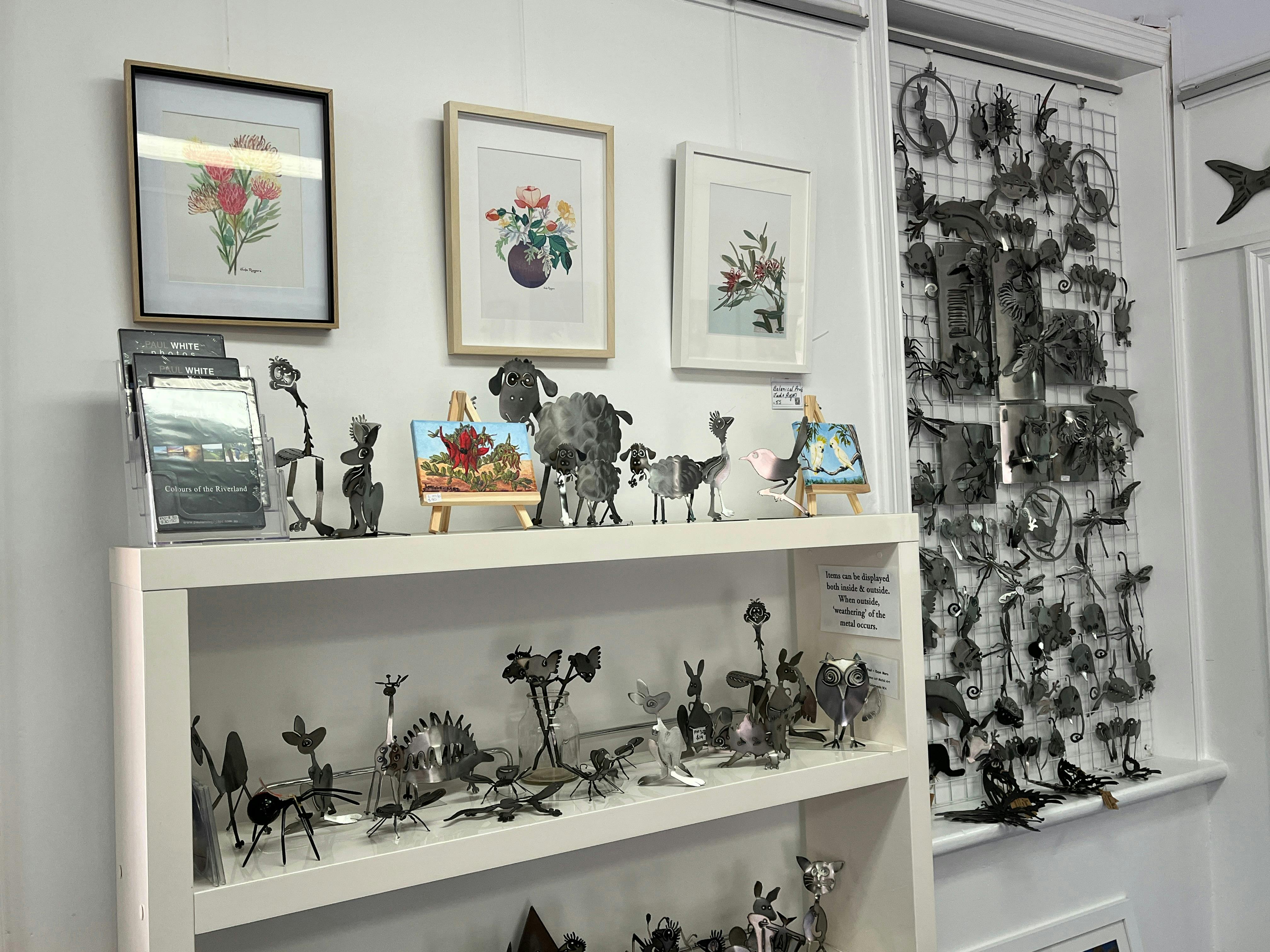 Rain Moth Gallery