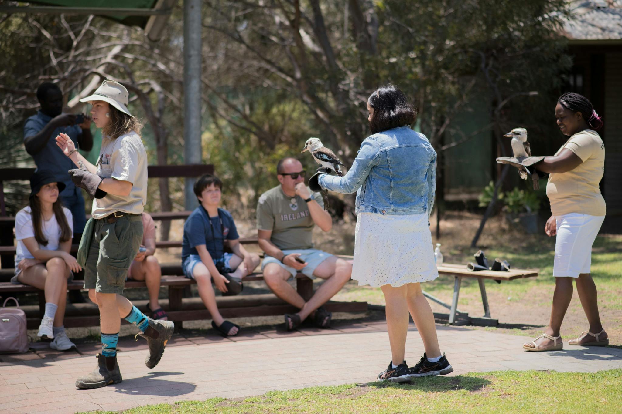hold birds at Raptor Domain, Kangaroo Island. Kookaburras. bird show. Birds of prey show