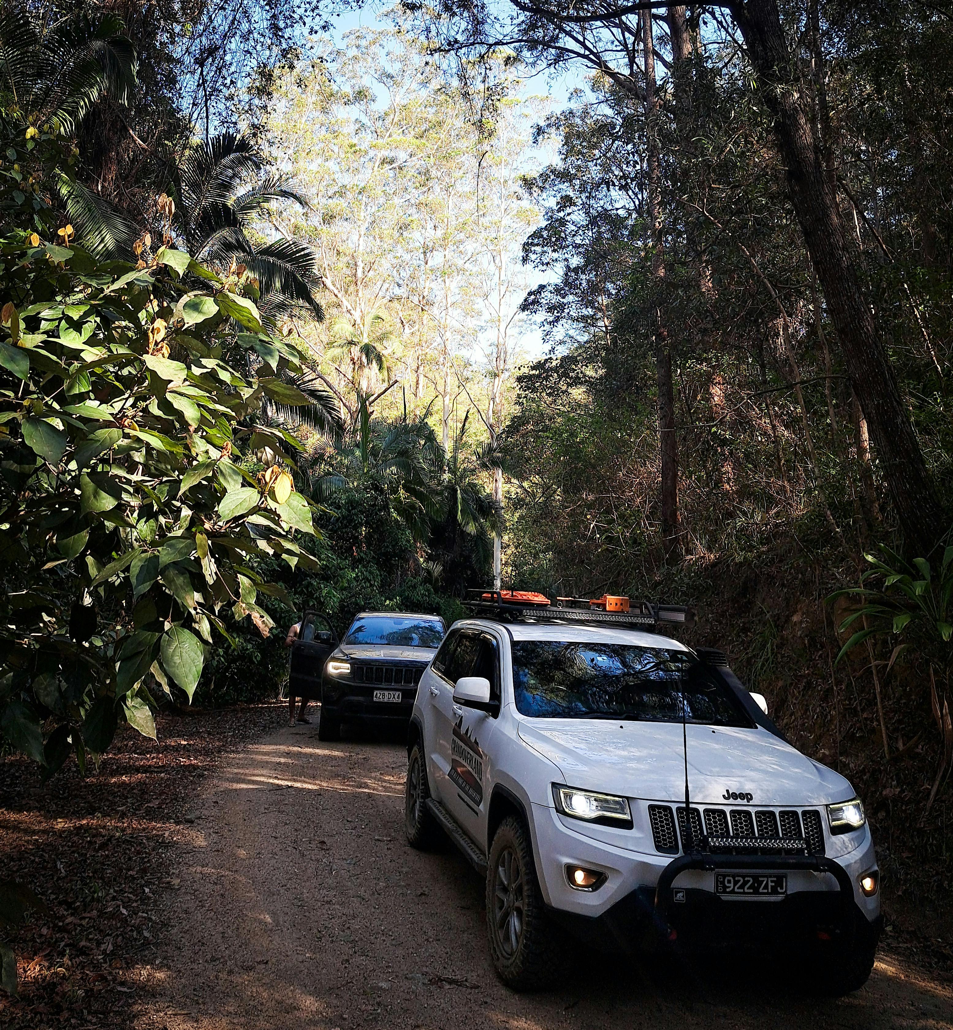 D'Aguilar NP, QLD
