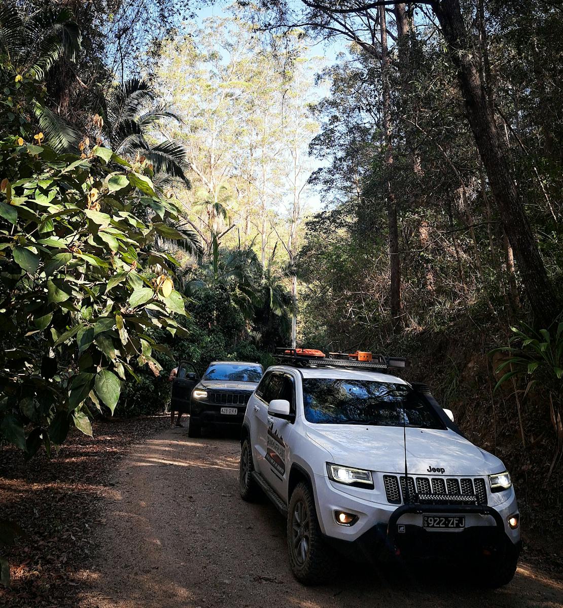 D'Aguilar NP, QLD