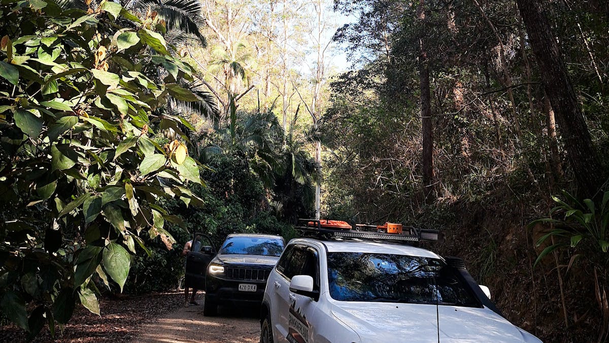 D'Aguilar NP, QLD