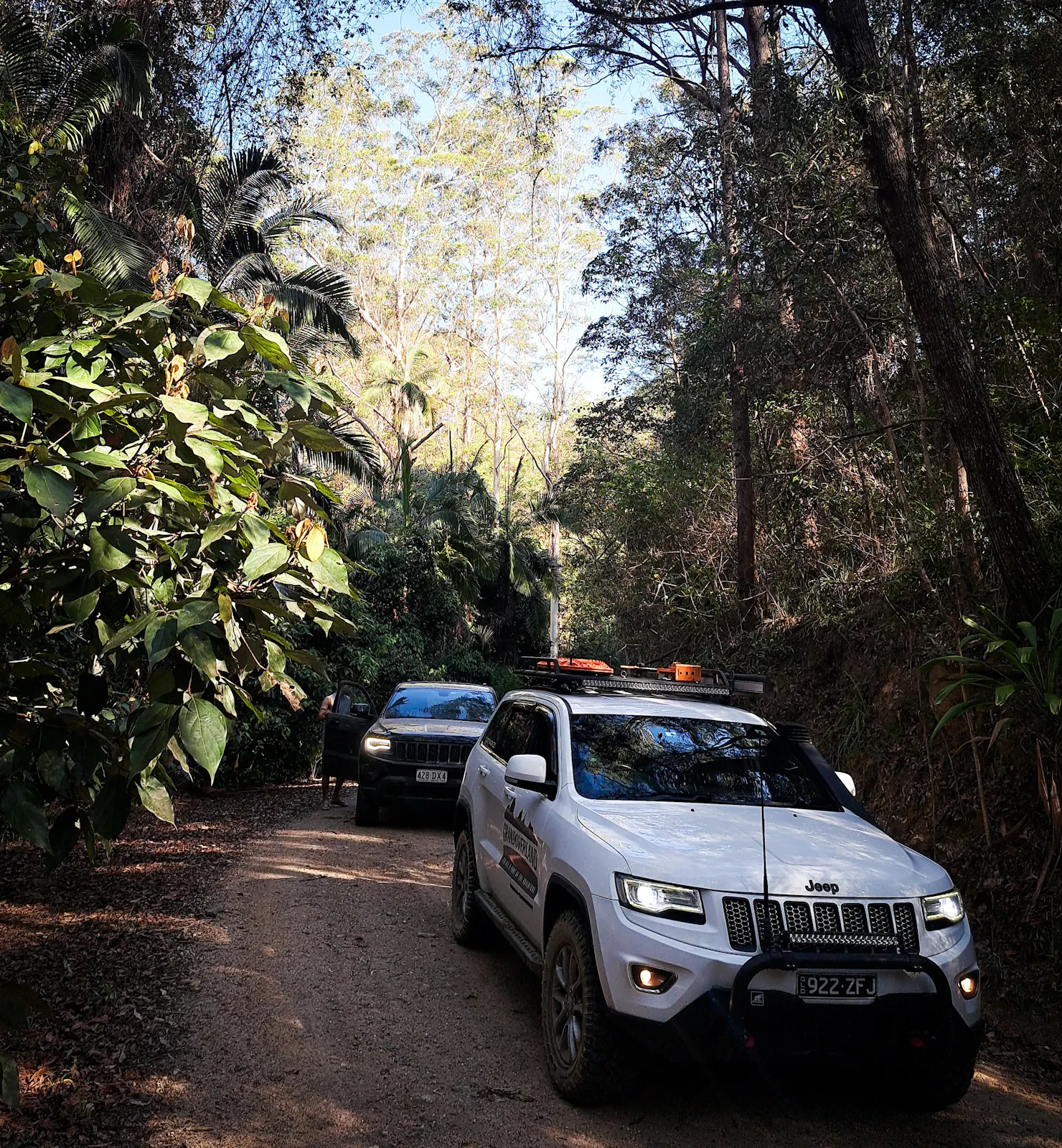 D'Aguilar NP, QLD