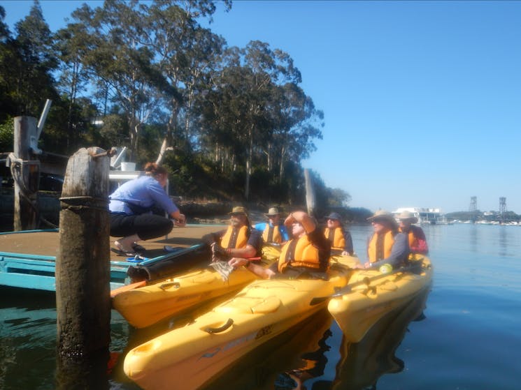 Oyster in Batemans Bay