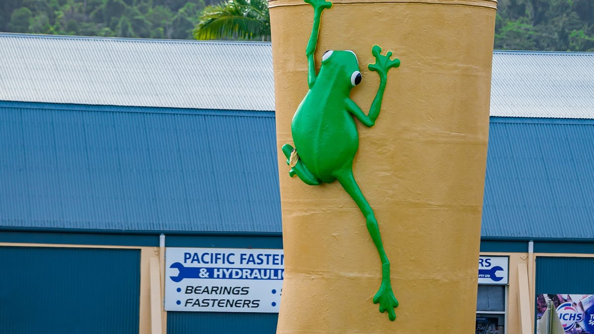 Tully Cassowary Coast Golden Gumboot