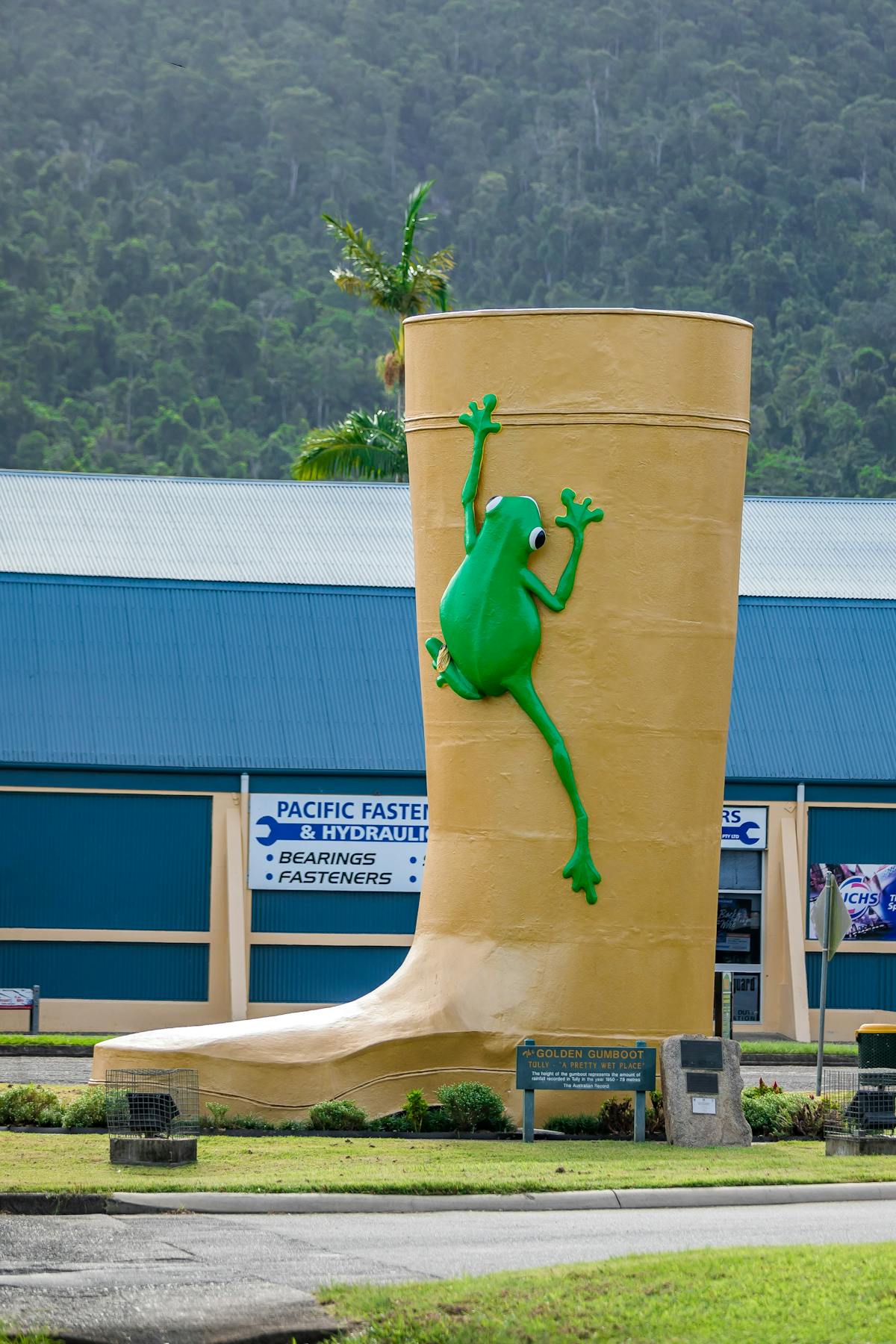 Tully Cassowary Coast Golden Gumboot