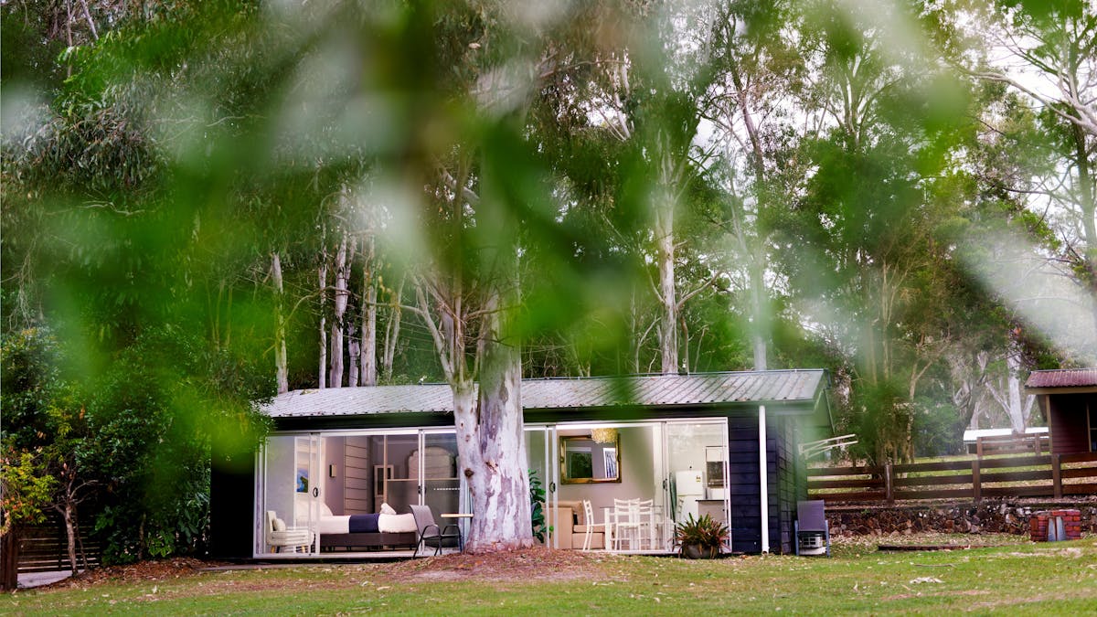 Cottage overlooking Forest