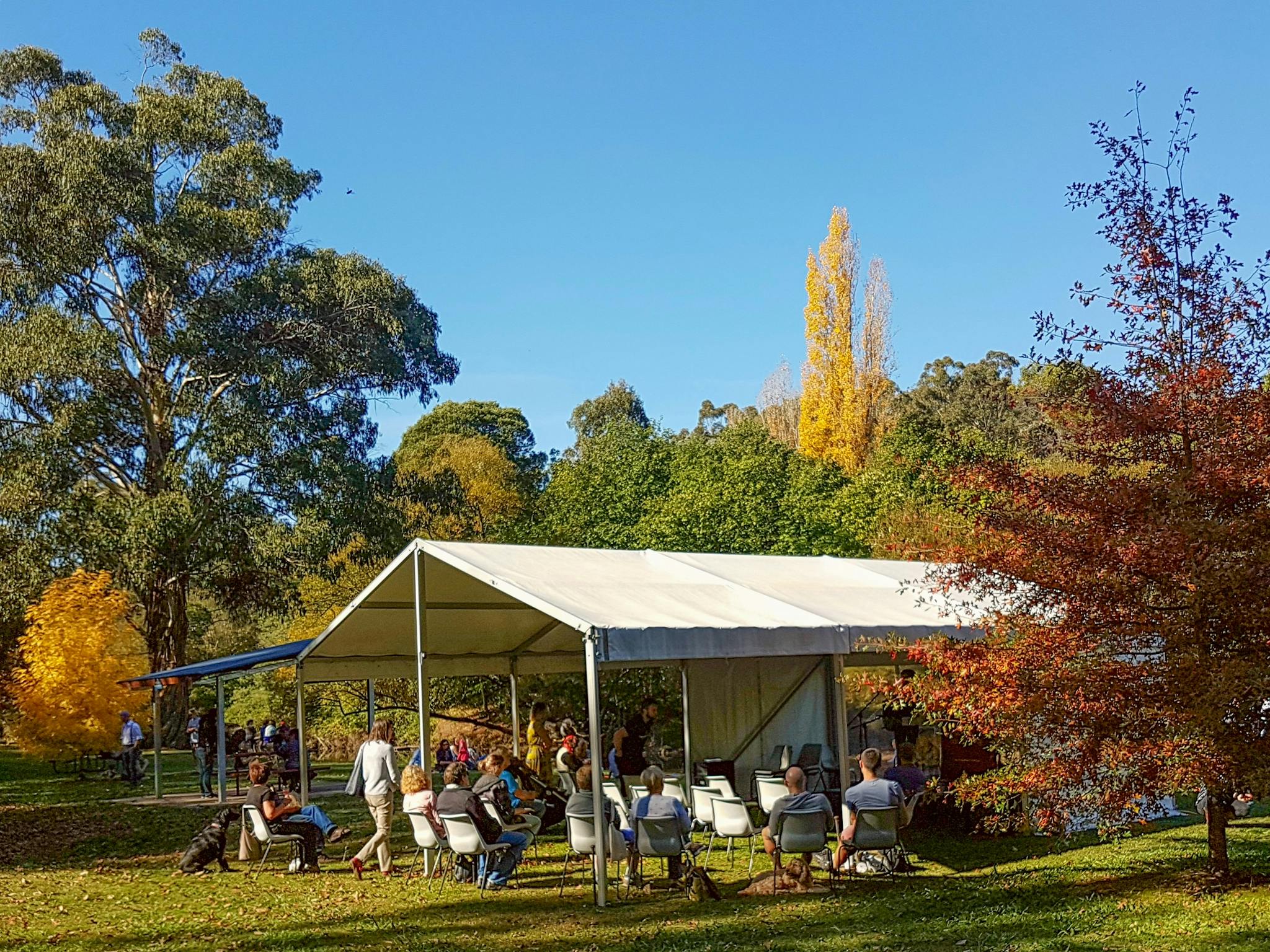 River Stage - Mansfield Community Bank