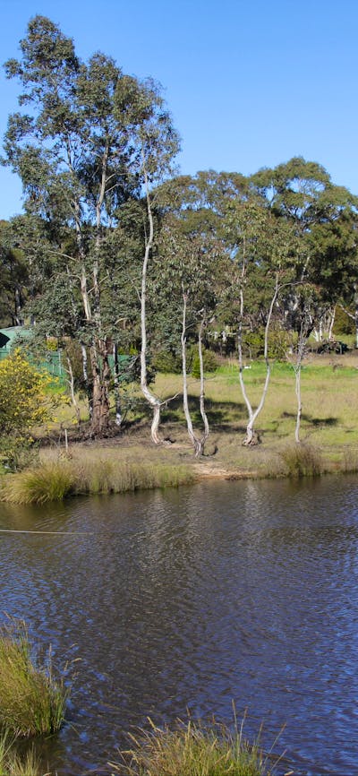 Cottage with dam