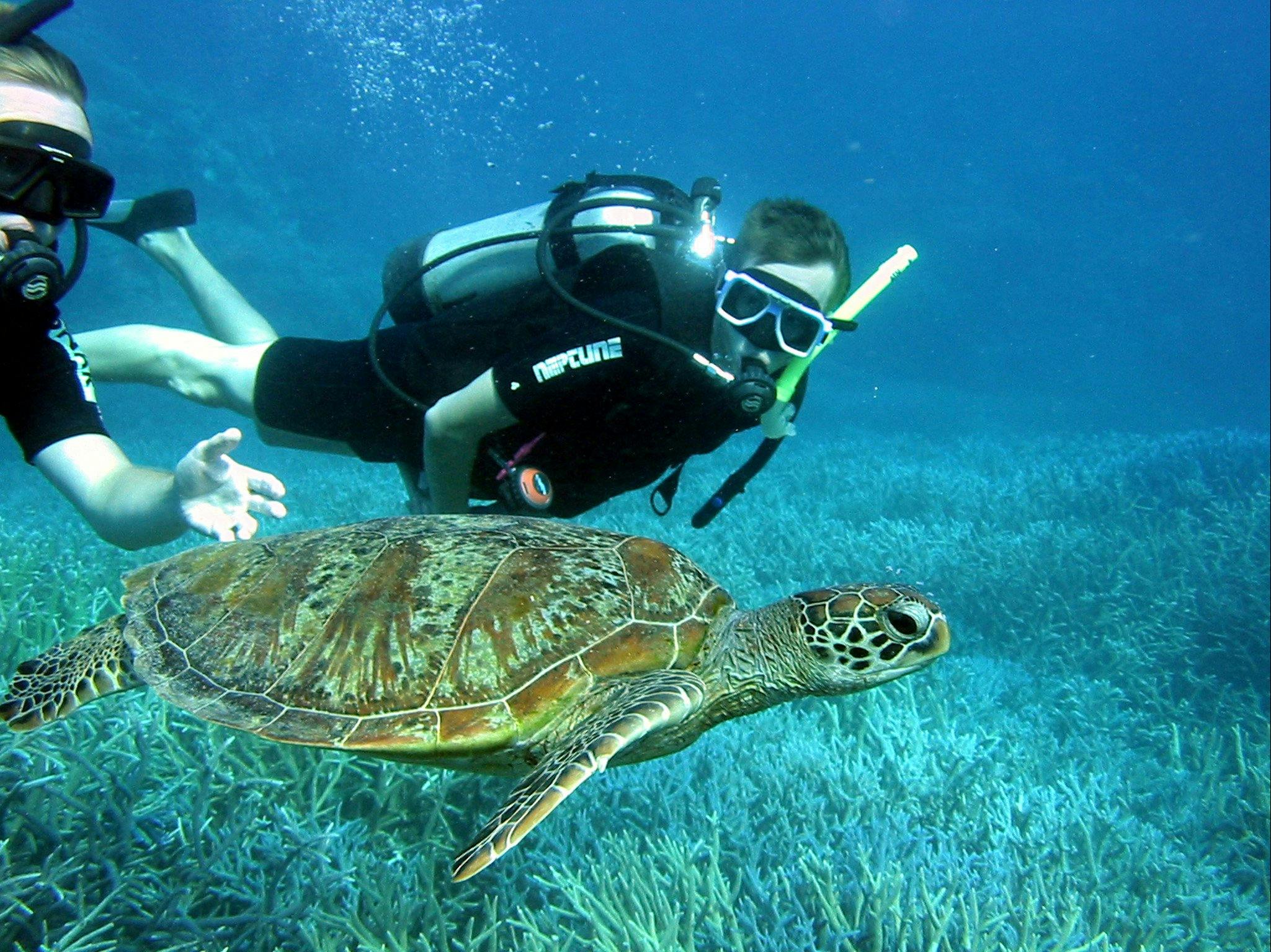 Kiana Outer Reef and Sail