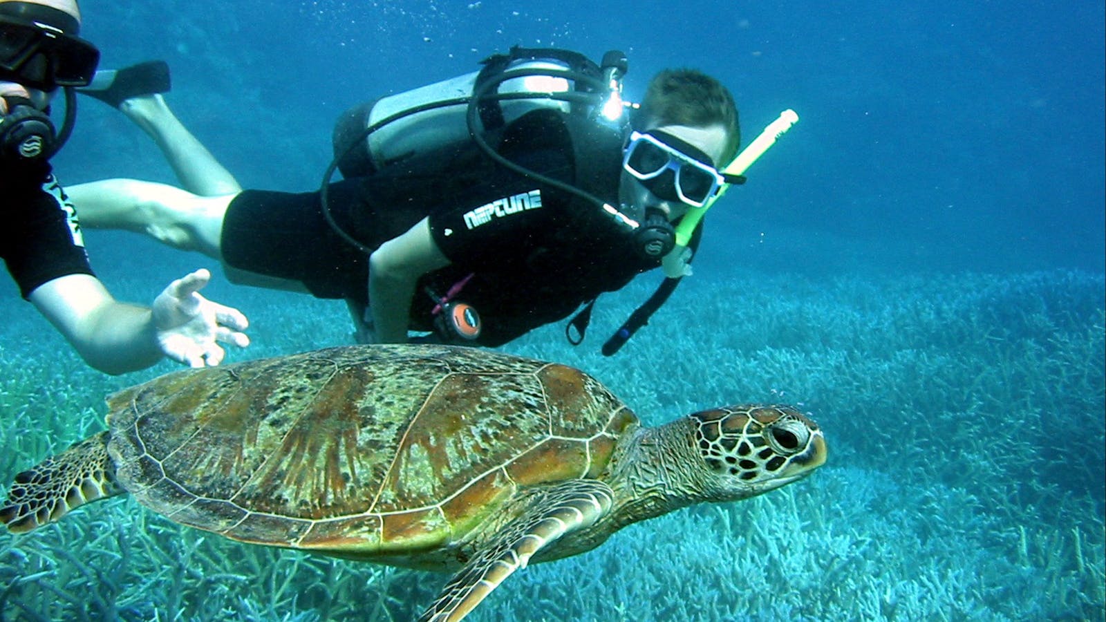 Whitsundays Sailing Adventures