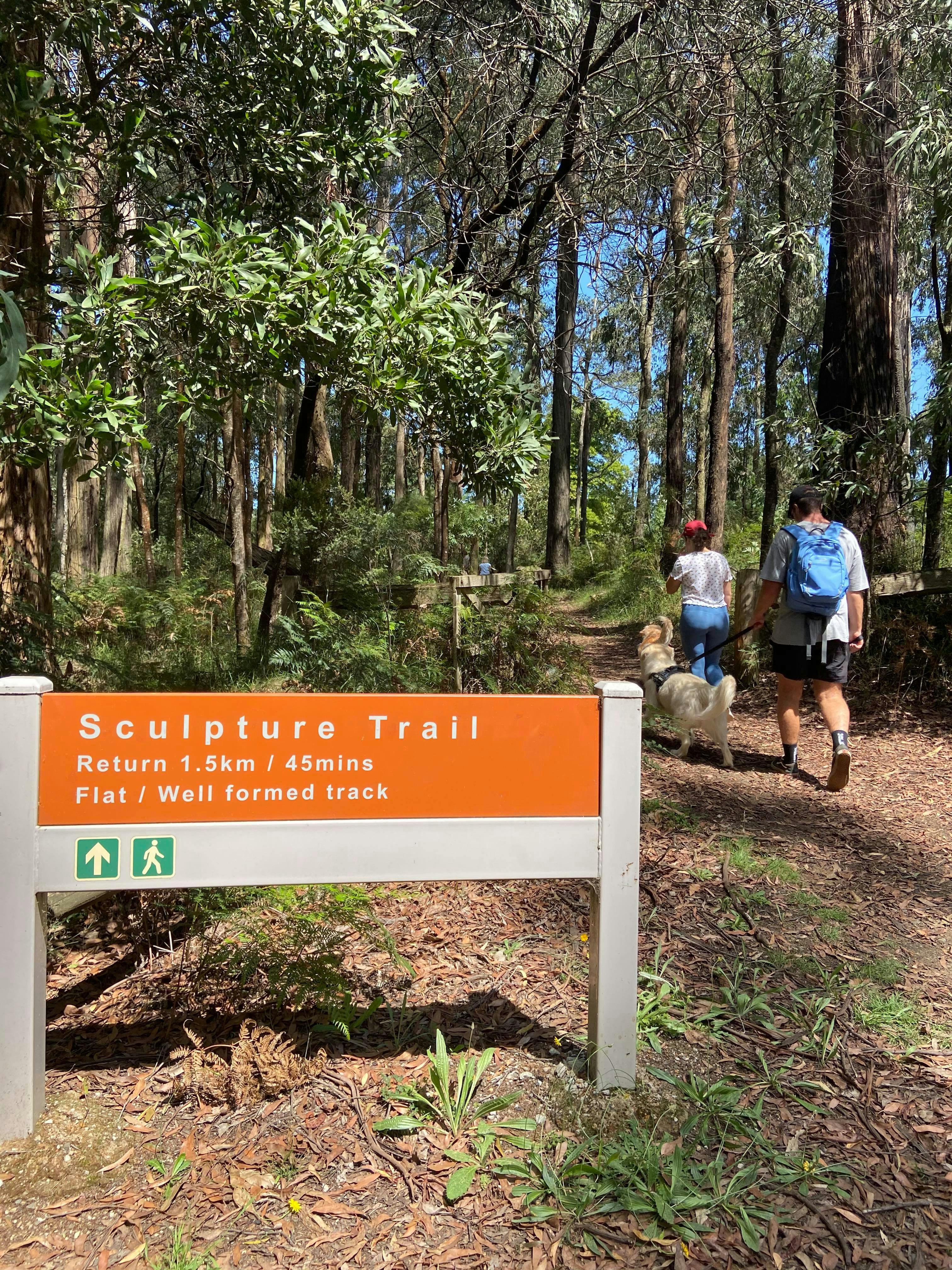 Toolangi Sculpture Trail