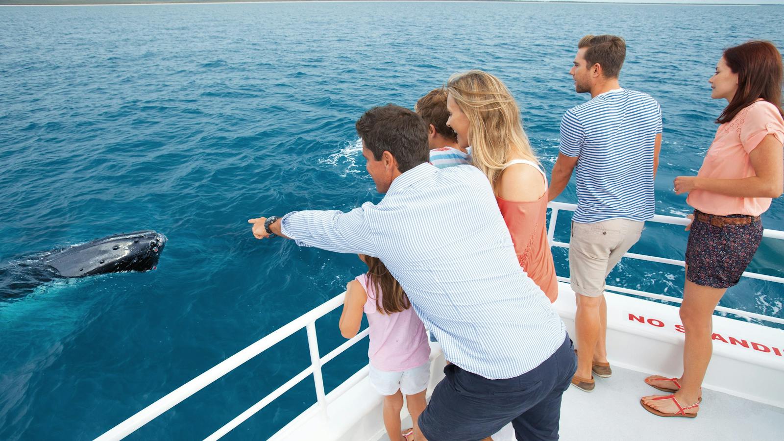 Hervey Bay, Whale Watching Capital of Australia.