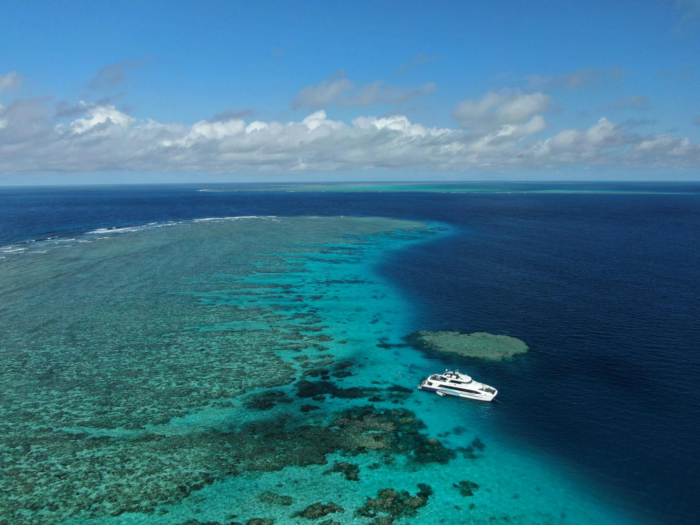 Great Barrier Reef Tours