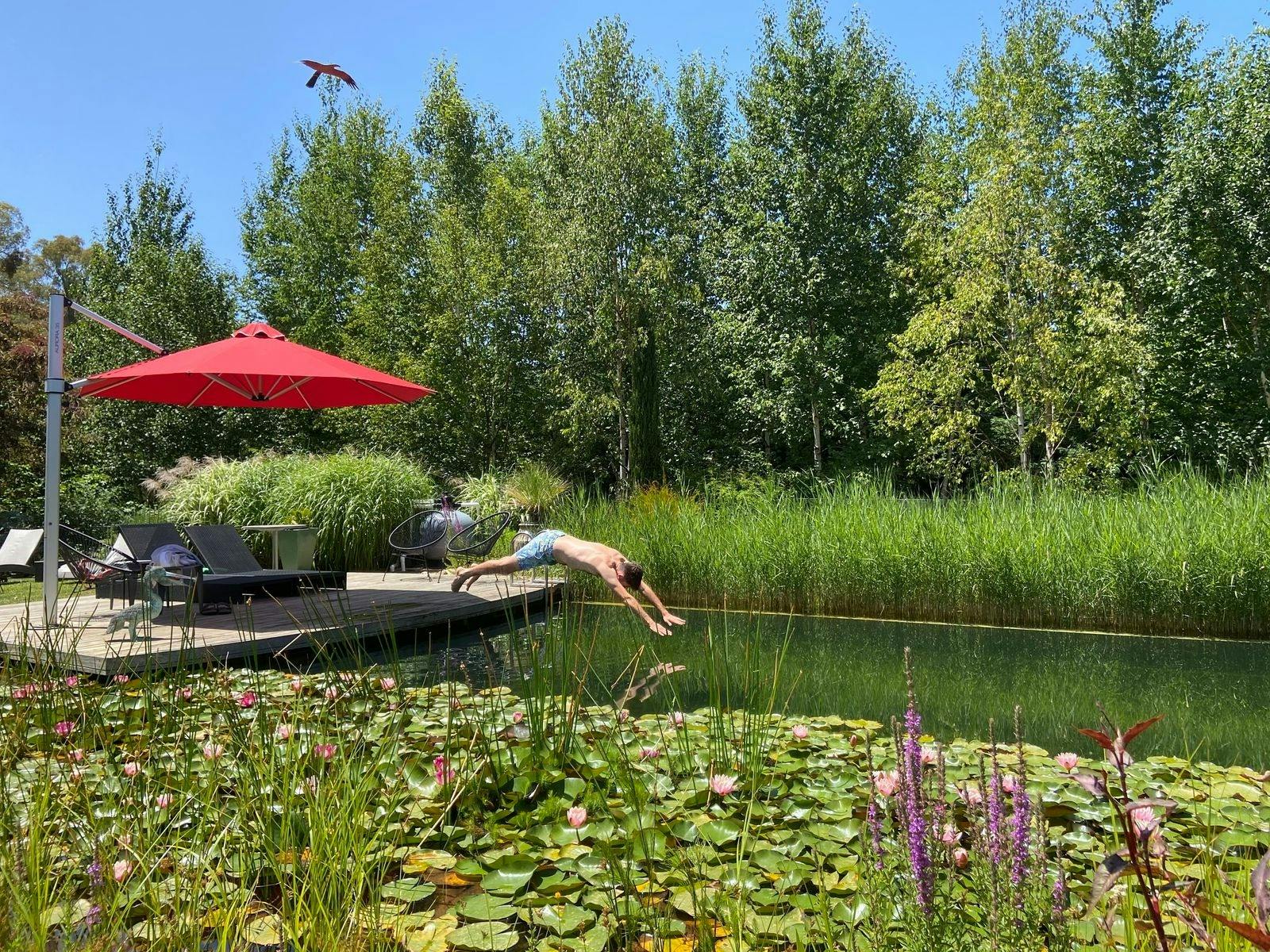 Natural Swimming Pool