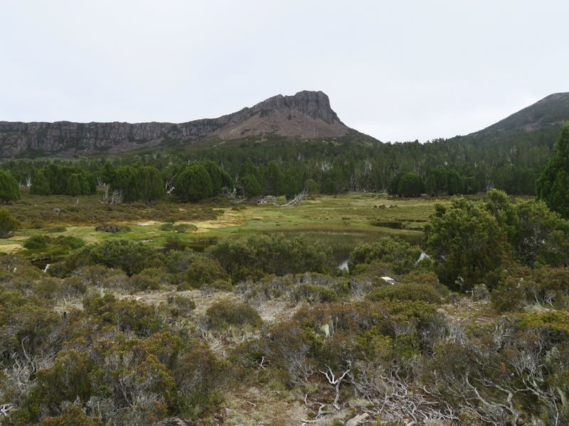 Tasmanian Wilderness