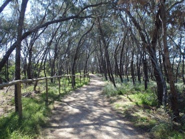 Federation Walk