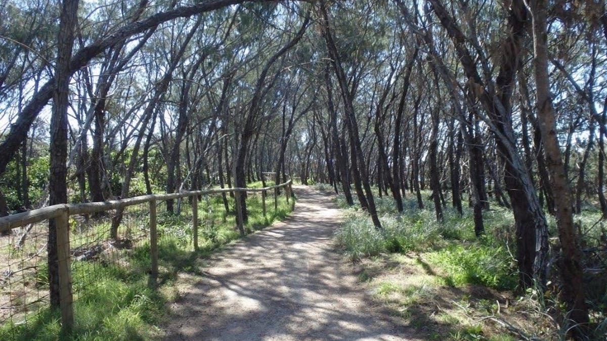 Federation Walk