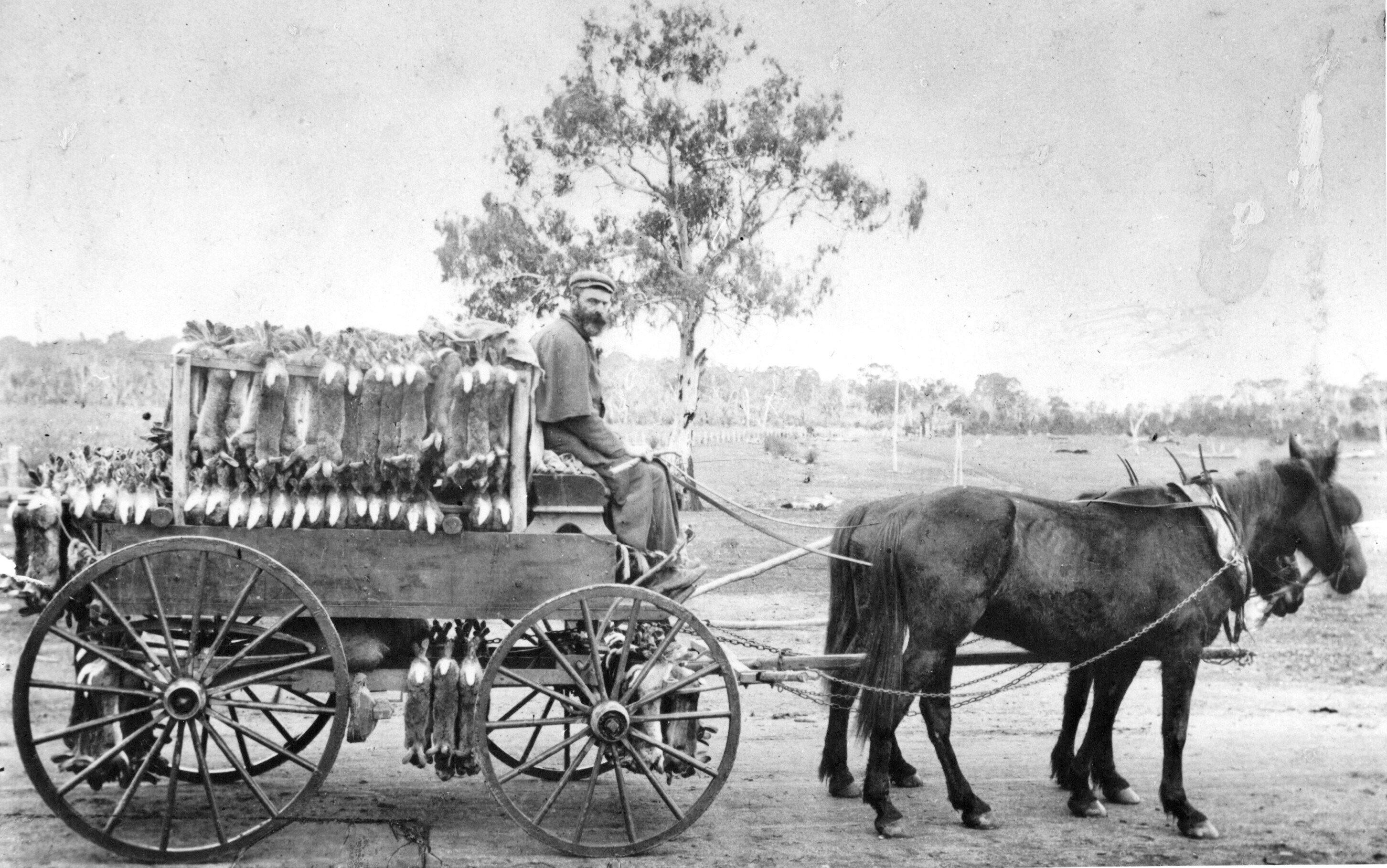 Richard Southwell and his rabbit cart