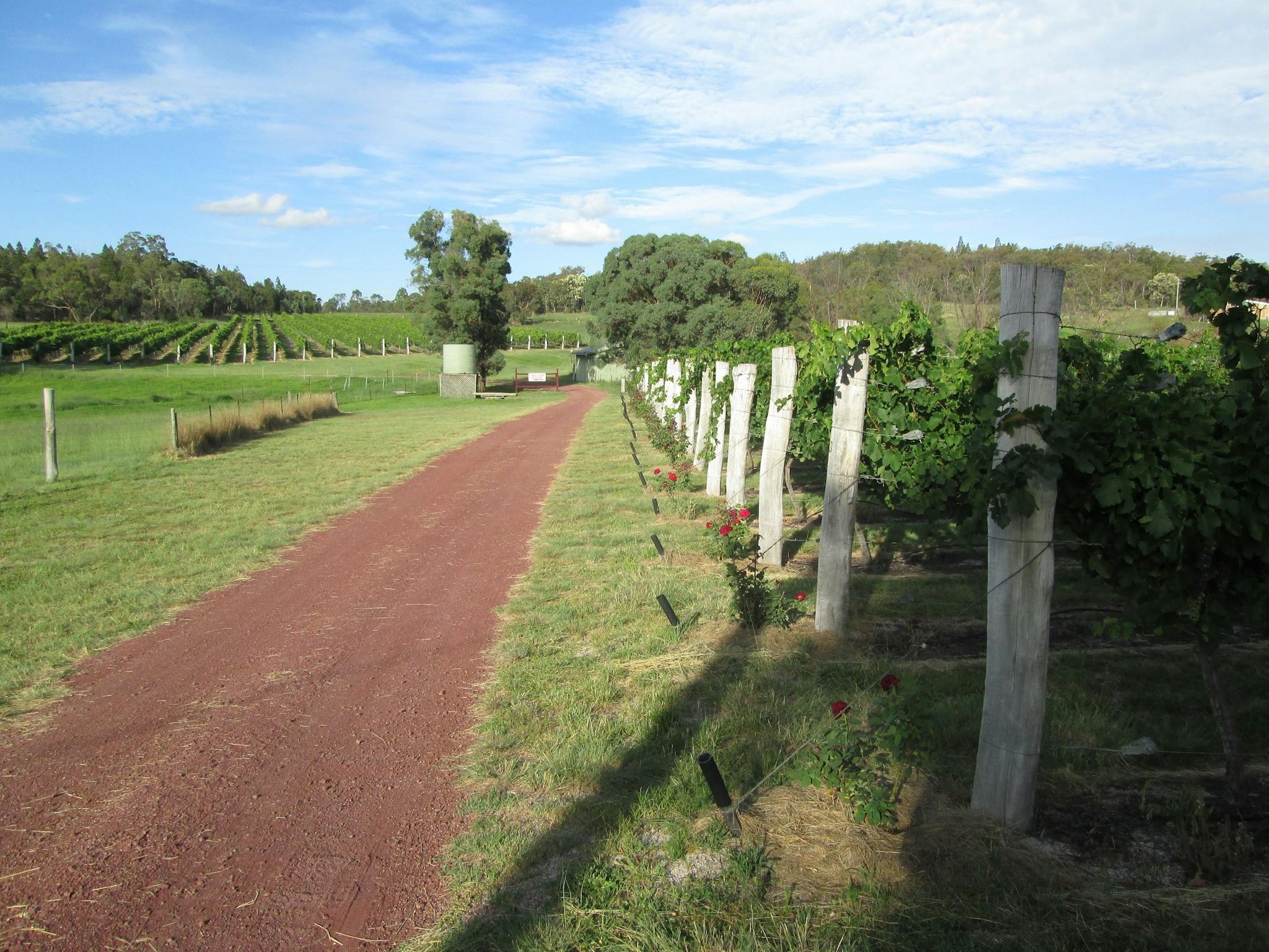 Just Red Wines vineyard Just Red Wines vineyard