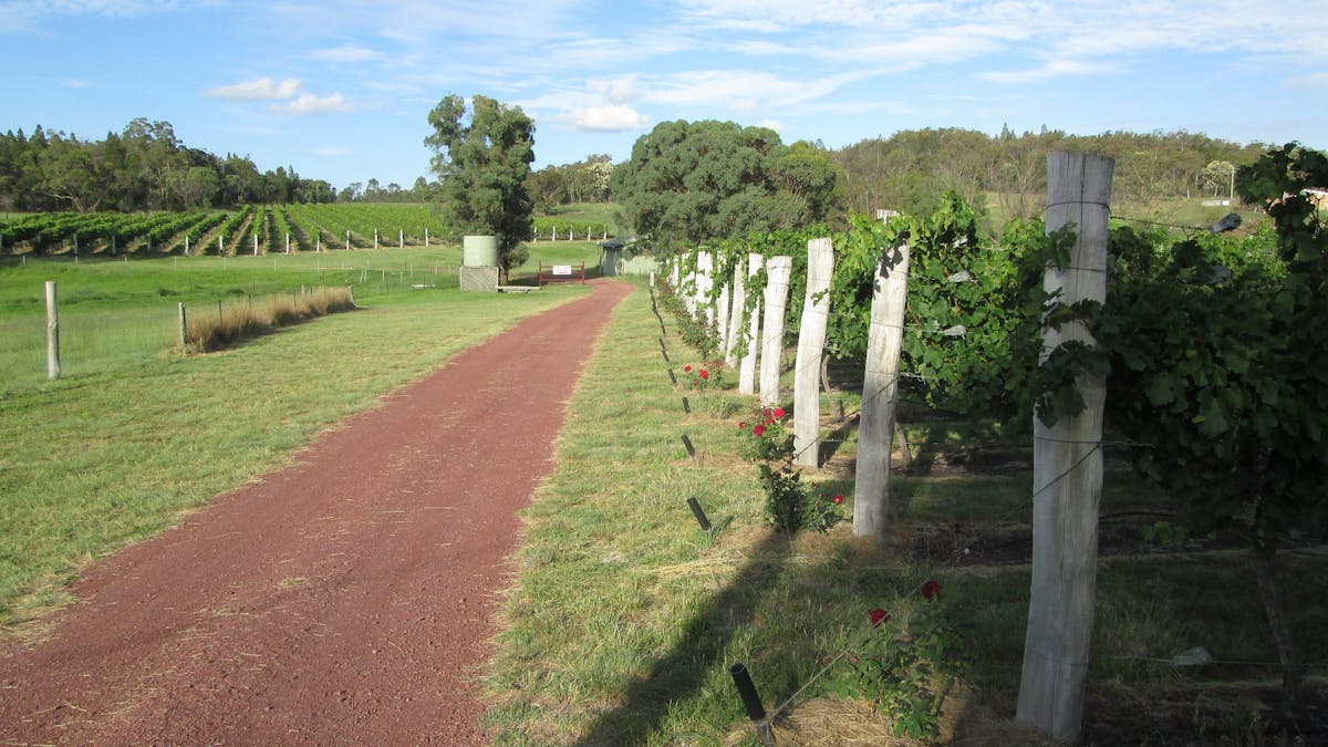 Just Red Wines vineyard
