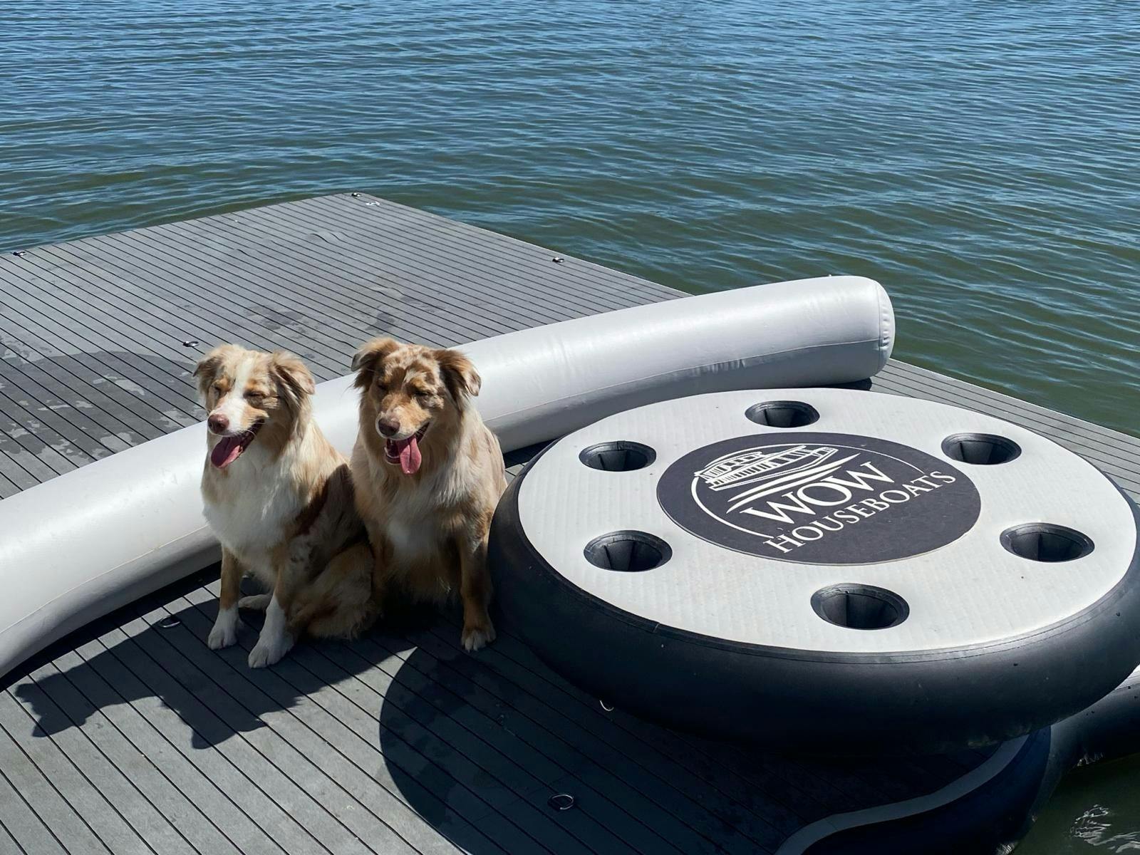 Dog-friendly houseboat