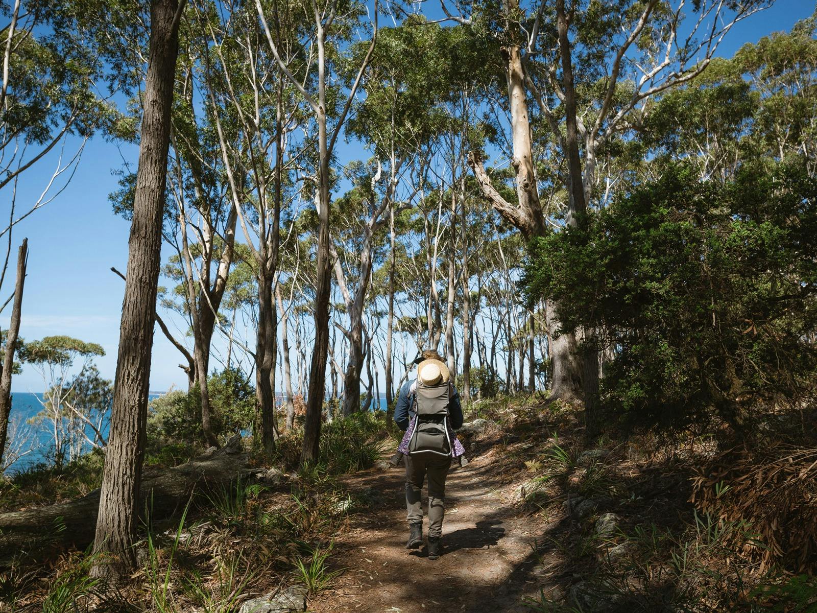 White Sands Walk, Jervis Bay