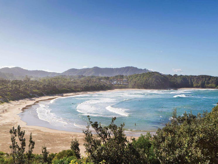 Coffs Coast Regional Park