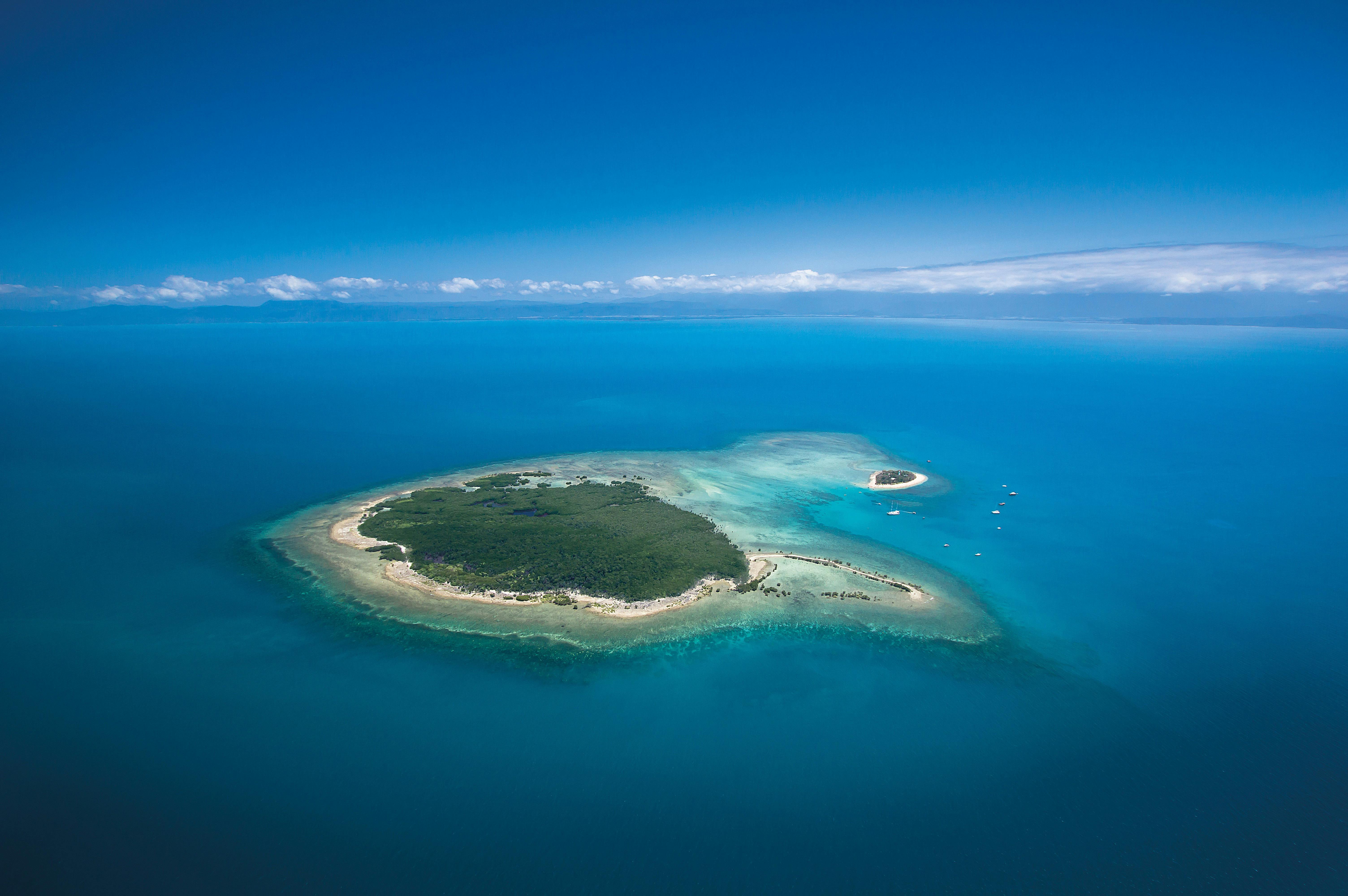 Low Isles, Great Barrier Reef