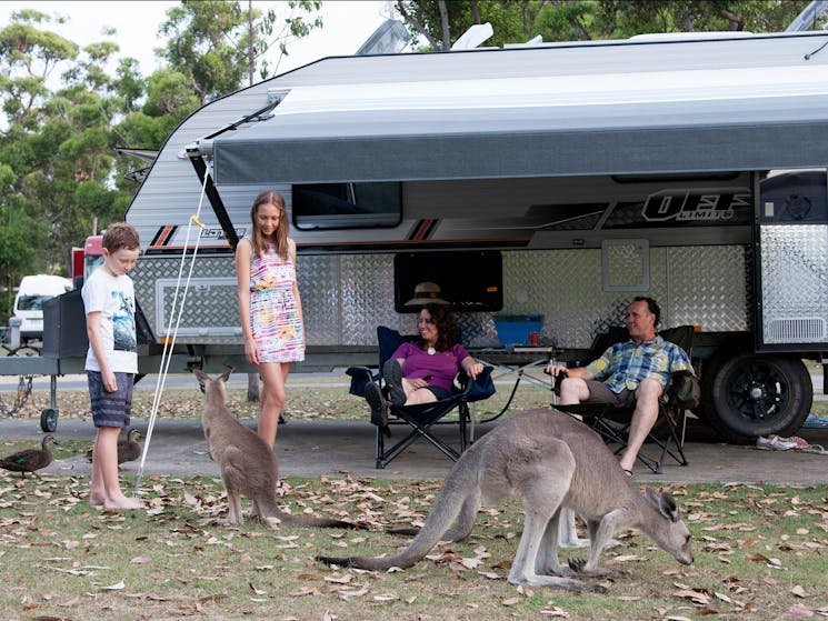 NRMA Darlington Beach Holiday Resort | NSW Holidays & Accommodation